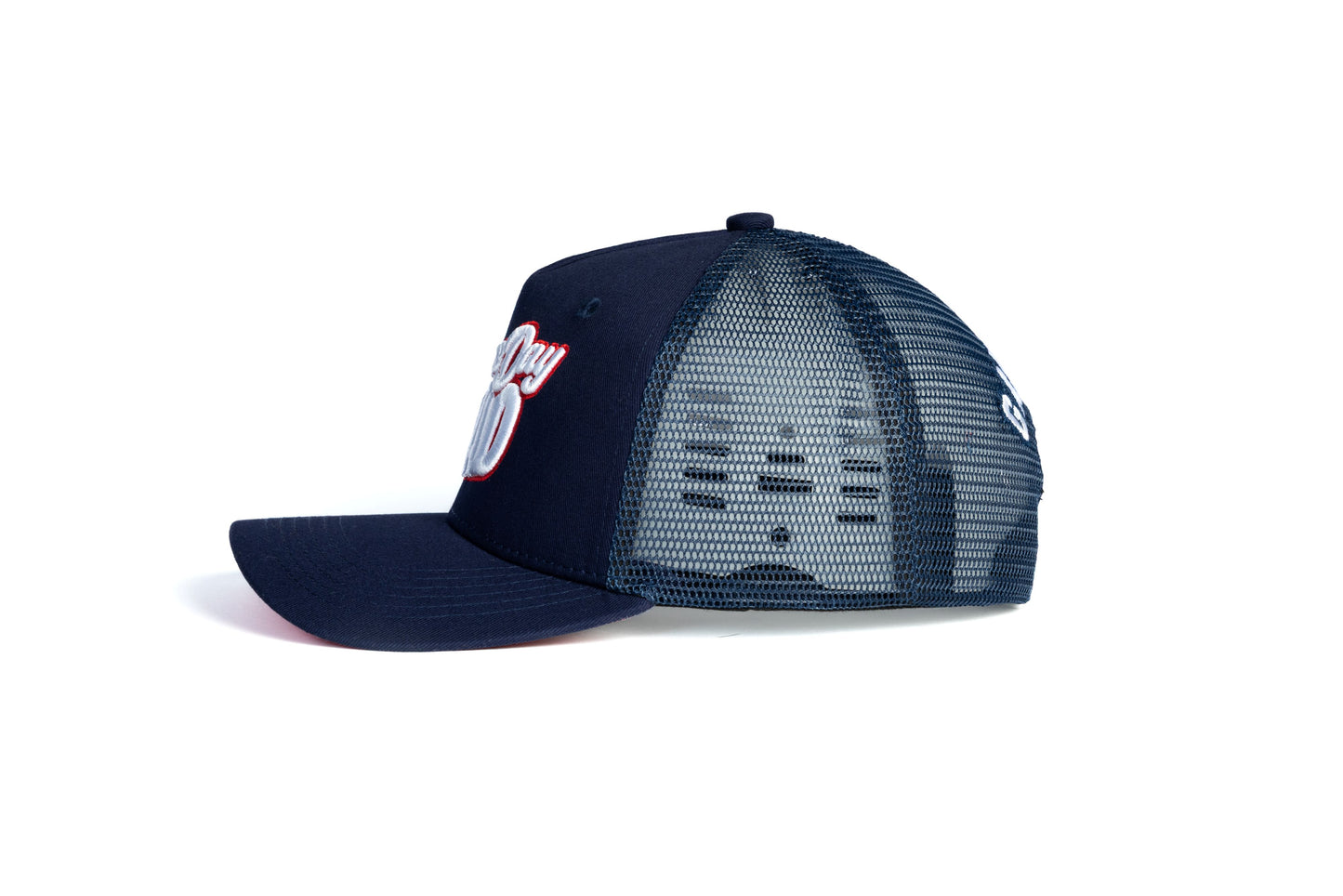Winning Mesh Blue - Dad